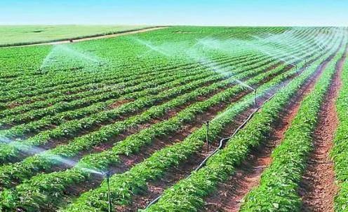 免费看靠逼视频农田高 效节水灌溉